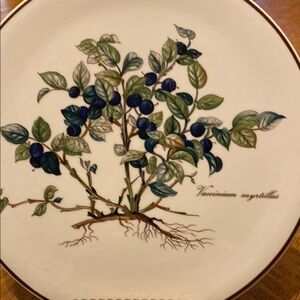 Villeroy & Boch Botanica Porcelain Plate